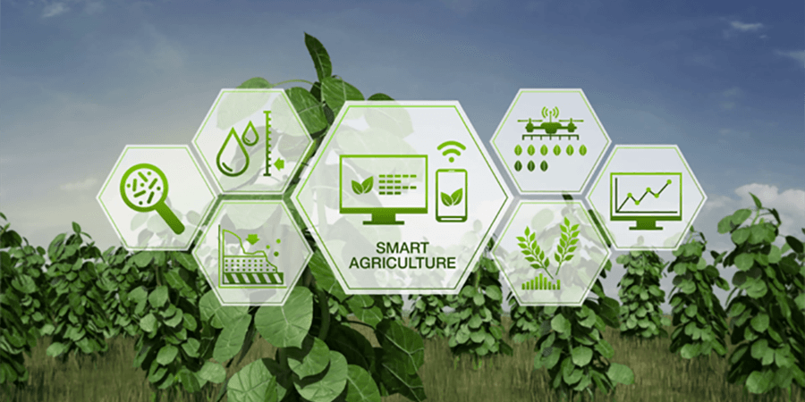Sustainable Development Goals